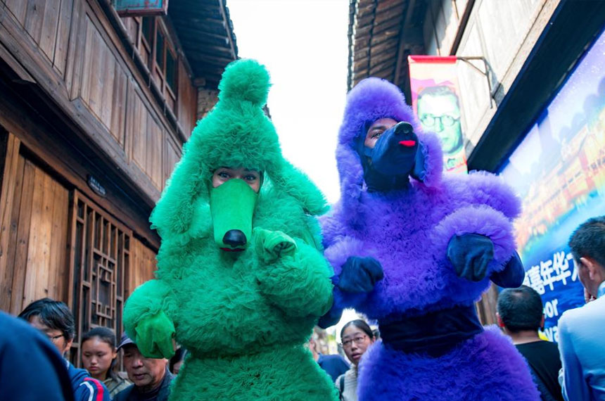 高跷泰迪家族