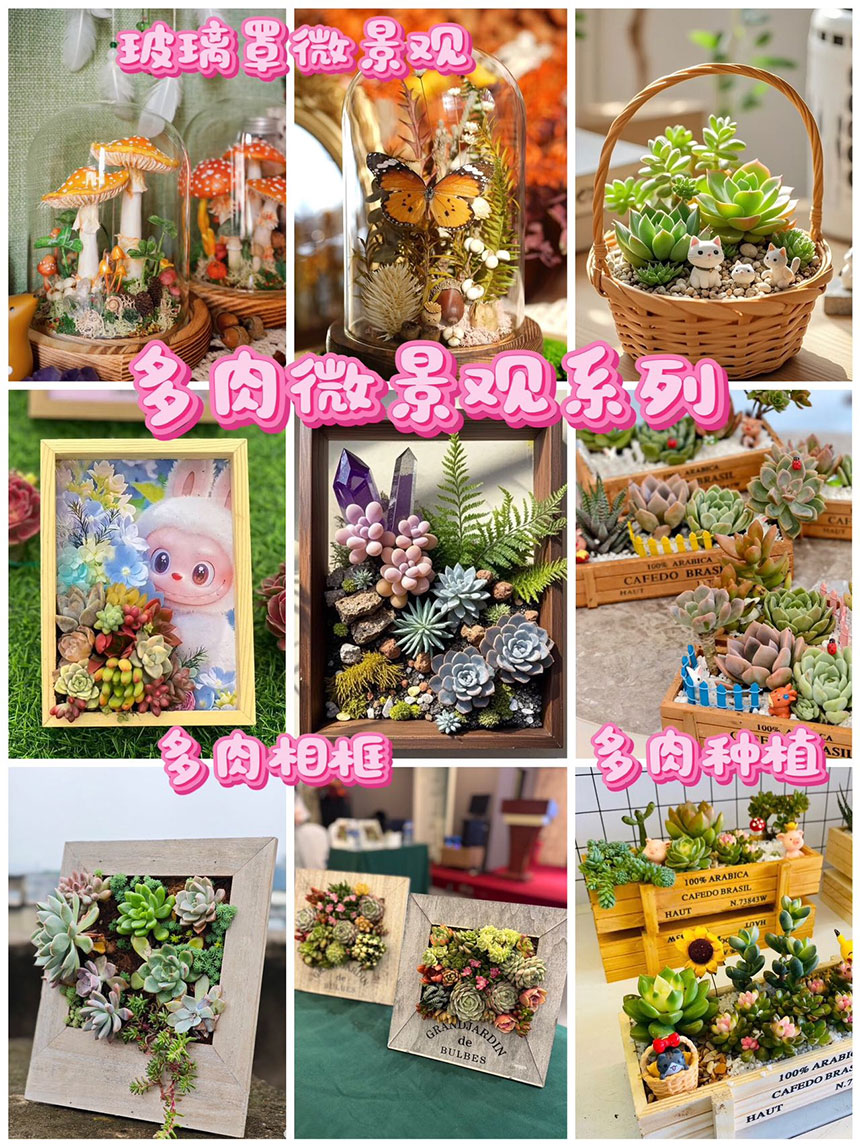 多肉微景观